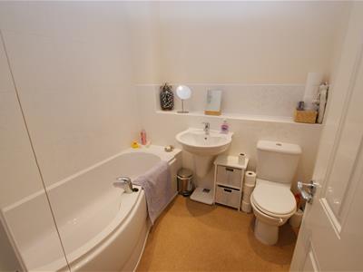 Picture 5